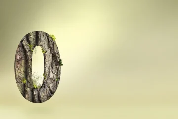 Spanish Words That Start With O