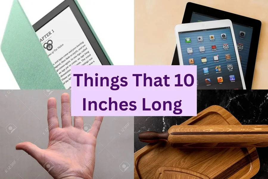 10 inches
