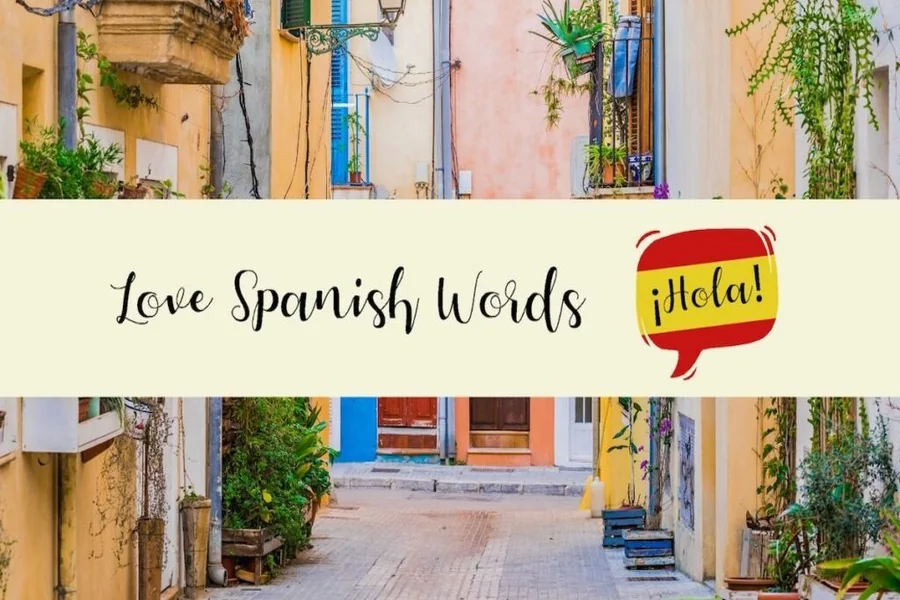 Words in Spanish That Start with I
