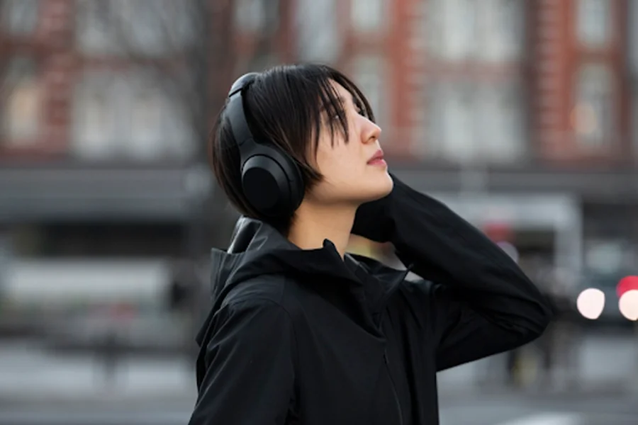 JBL Noise Cancelling Headphones